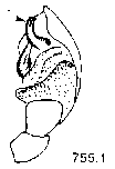 {short description of image}