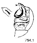 {short description of image}