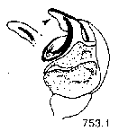 {short description of image}