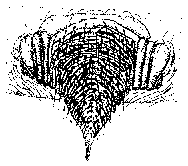 {short description of image}
