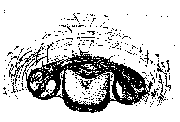 {short description of image}