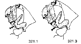 {short description of image}
