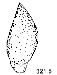 {short description of image}
