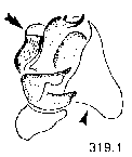 {short description of image}