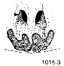 {short description of image}