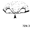 {short description of image}