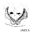 {short description of image}