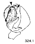 {short description of image}