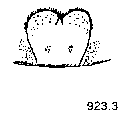 {short description of image}