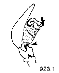 {short description of image}