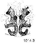{short description of image}