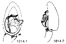 {short description of image}