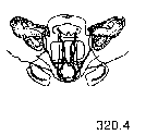 {short description of image}