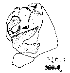 {short description of image}