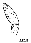 {short description of image}