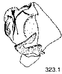 {short description of image}