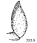 {short description of image}