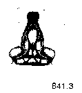 {short description of image}