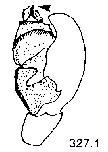 {short description of image}