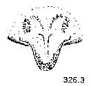 {short description of image}