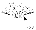 {short description of image}