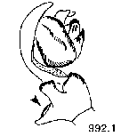 {short description of image}