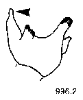 {short description of image}