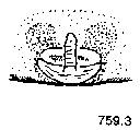 {short description of image}