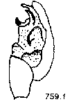 {short description of image}