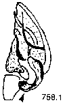 {short description of image}