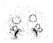 {short description of image}