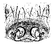 {short description of image}