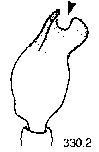 {short description of image}