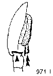 {short description of image}