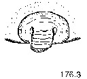 {short description of image}