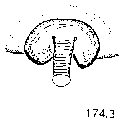 {short description of image}