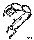 {short description of image}