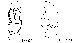 {short description of image}