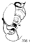 {short description of image}