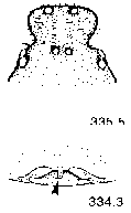 {short description of image}