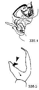 {short description of image}
