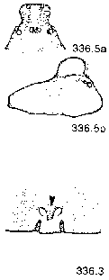 {short description of image}
