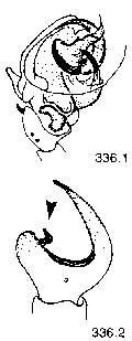 {short description of image}