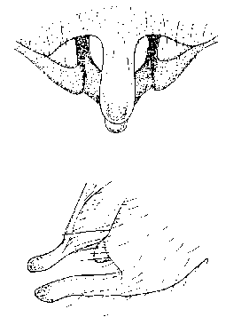 {short description of image}