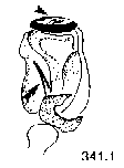 {short description of image}