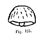 {short description of image}