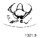 {short description of image}