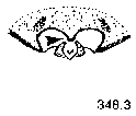 {short description of image}