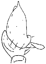 {short description of image}