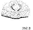 {short description of image}